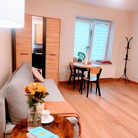 Apartament Plac Kazimierza Wielkiego 5 Tarnow Luaran gambar